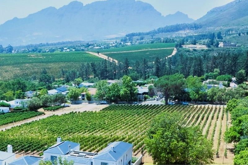 Estate Living Against Stellenbosch Mountains Surrounded with Nature and Tranquility