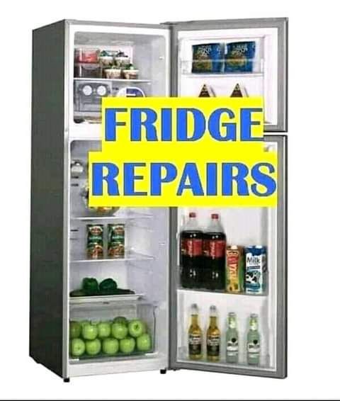 Fridges freezers repairs and regassing