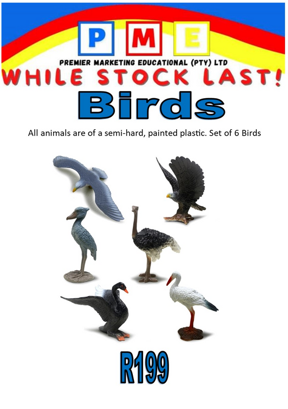 Premier Marketing Educational Birds