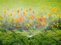 Irrigation and water back-up systems