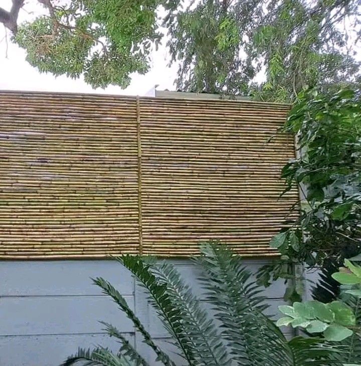 Bamboo Fencing &amp; Shadeport