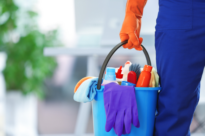 Professional and efficient domestic services