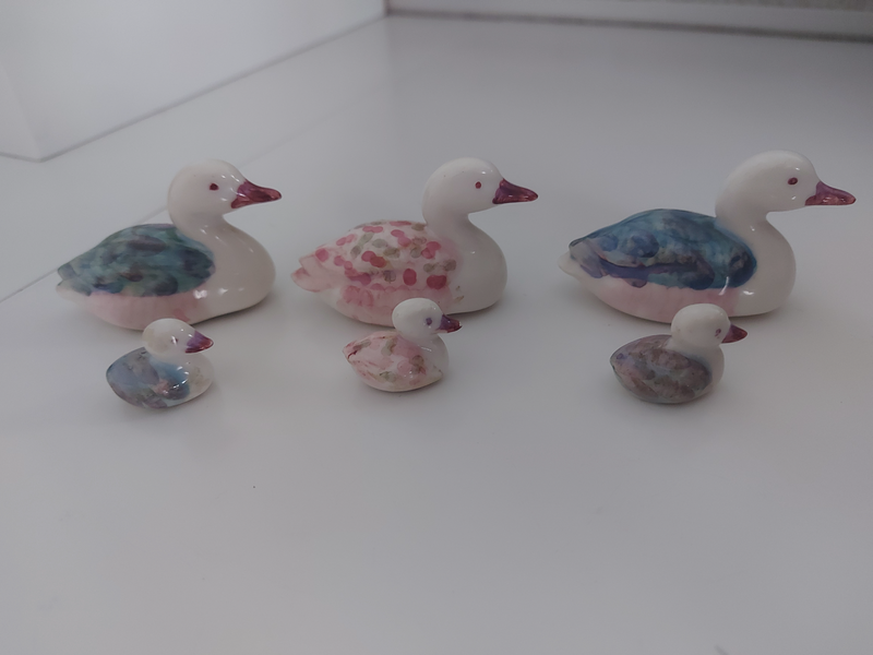 Tiny Duck Collection
