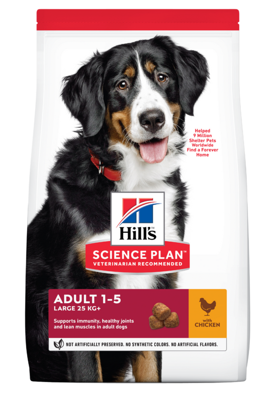 Hills Science Plan Adult Large breed Chicken 40% discount 12KG!