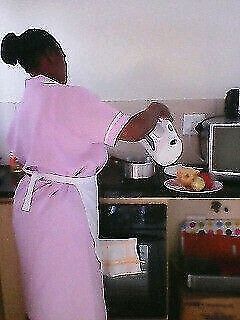 DOMESTIC WORKER FROM LESOTHO