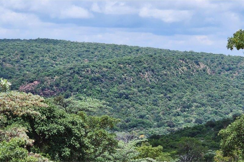 Intaba-Indle - Spectacular cliff and mountain views - Bushveld vacant land - Tar Roads