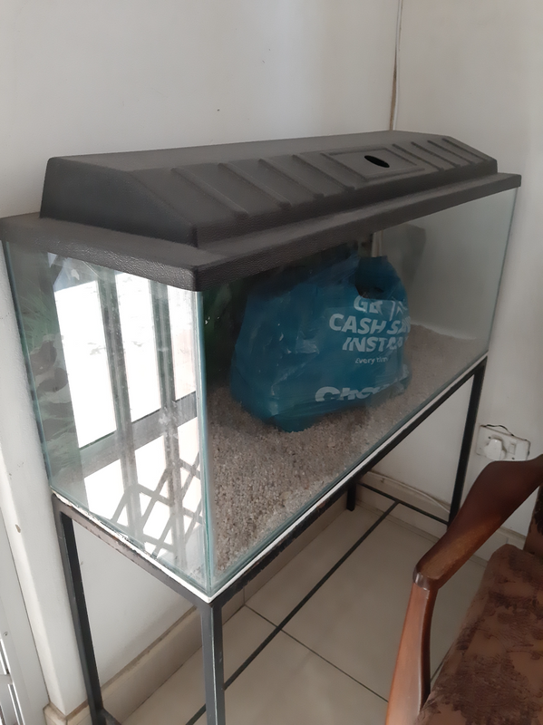 3 Foot Fish Tank With Stand And Accessories