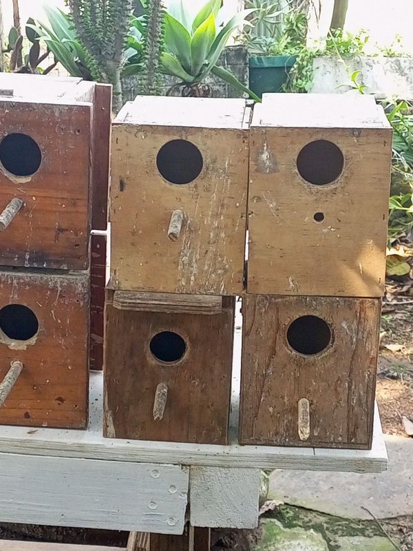Breeding bird boxes