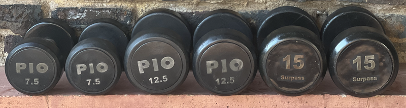 RUBBERISED DUMBELLS &#61; R2200 FOR THE LOT