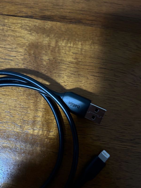 Belkin type a to lightning cable