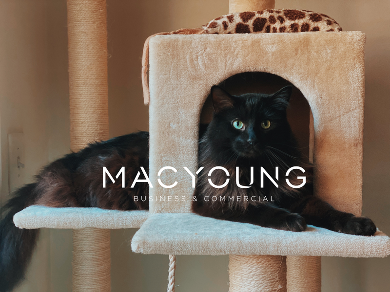 MACYOUNG.BIZ - The Cutest Inventory in the Garden Route