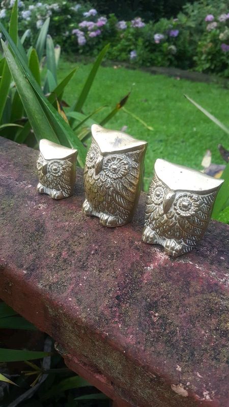 Heart feet miniature owls