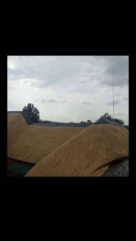 Thatch roofs
