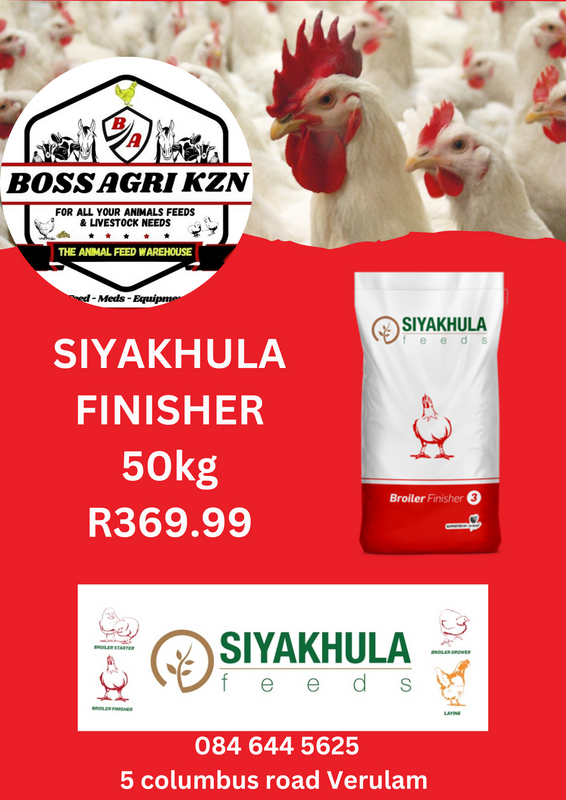 Chicken feed siyakhula