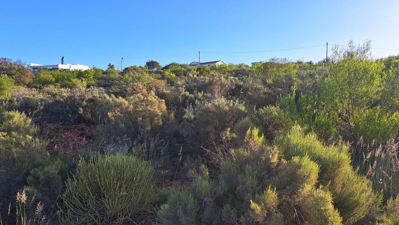 Vacant land with breathtaking views of the Langeberg Mountain Range