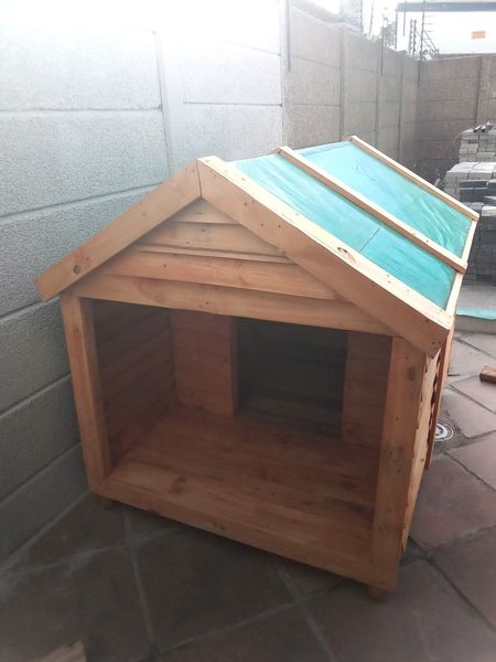 Dog kennels for sale gumtree best sale