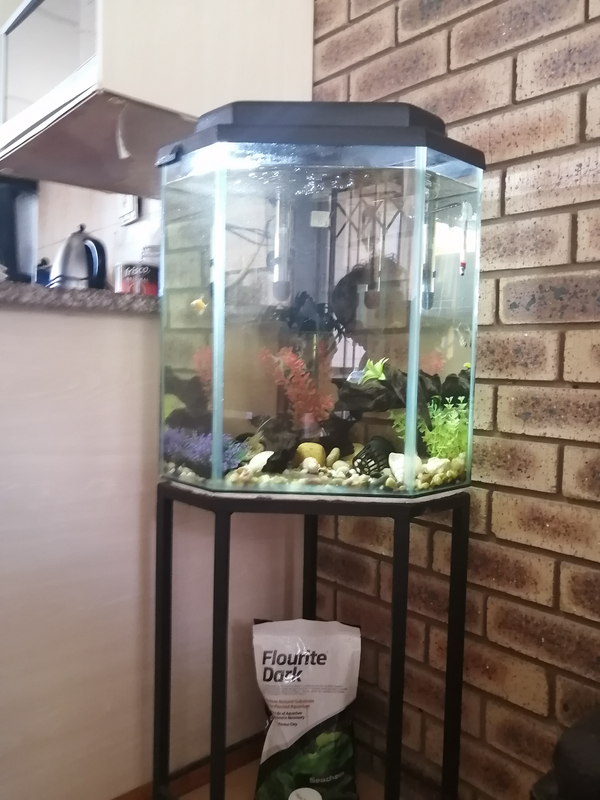 Second-hand corner fish tank and all accessories.