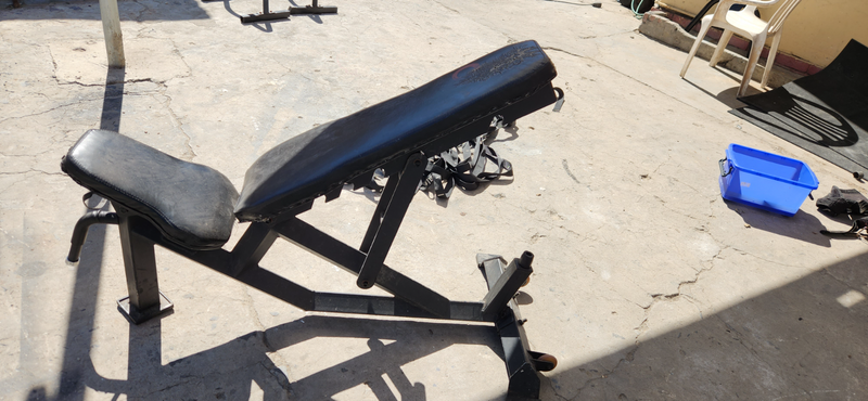 Heavy Duty Commercial Gym Bench for Sale!