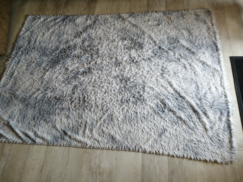 Fluffy rug R250