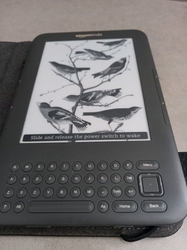 Kindle with leather cover