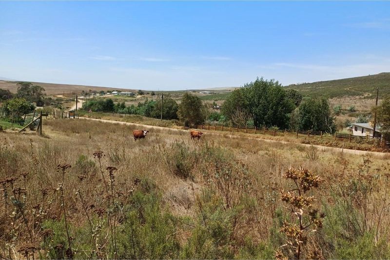 2791m2 Vacant land for sale in Tesselaarsdal