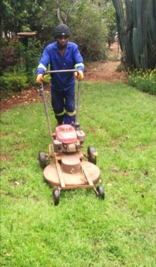 William (34) Malawian Seeking Employment In Gardening Services