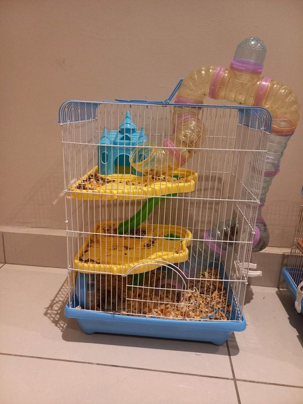 Hamster cage with pair of hamsters and babies