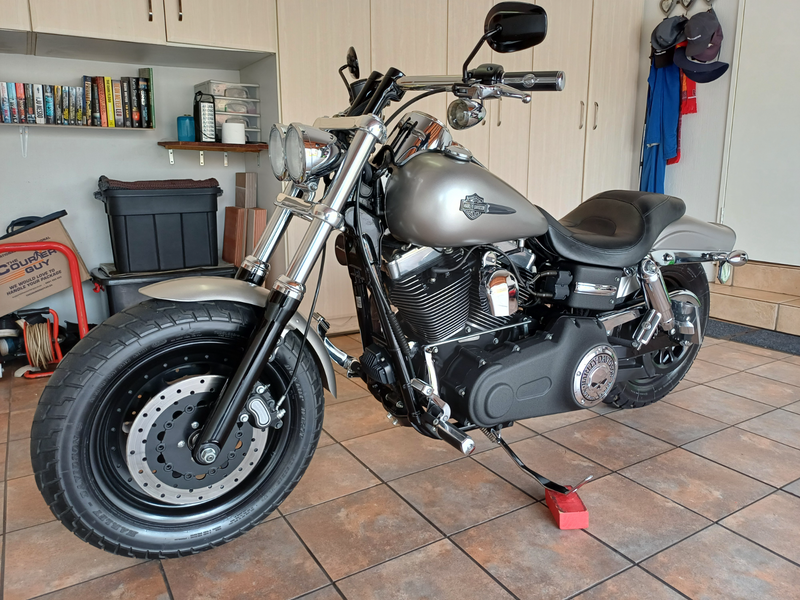 2009 Harley-Davidson Dyna