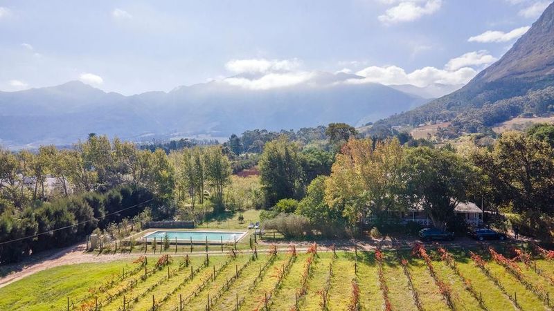 Lifestyle Farm up for grabs in most popular part of Franschhoek
