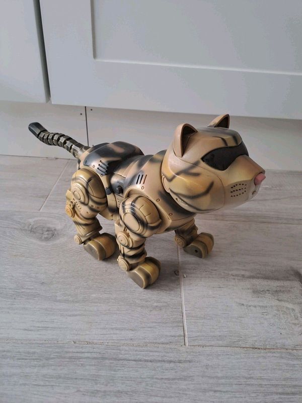 Battery operated Robocat