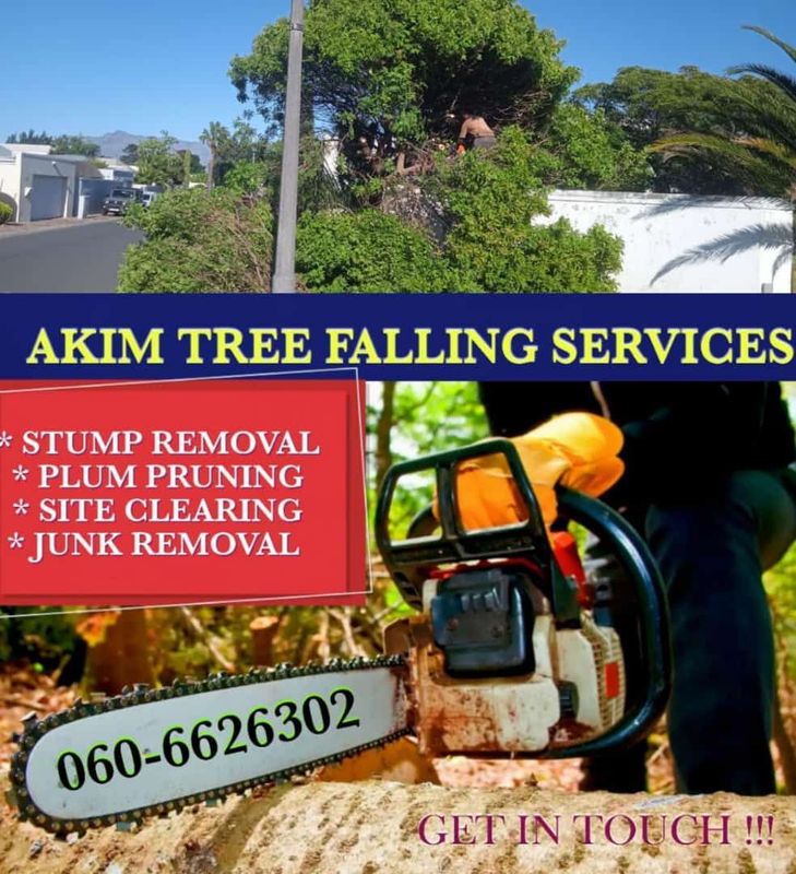 TREE FALLERS &amp;  JUNK REMOVAL
