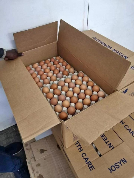 Bulk Eggs Supplier Near Me. Jansenville Gumtree South Africa