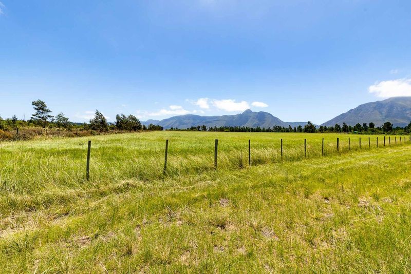 Lifestyle farm 8km from Riversdale with good quality water source