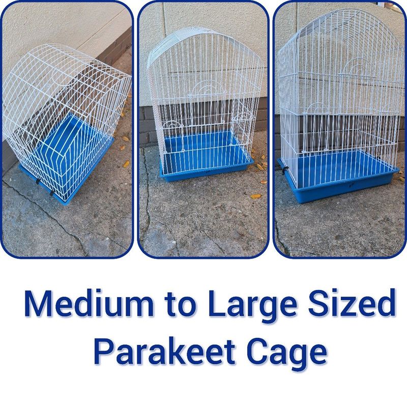 Well-sized Bird Cage for medium sized Birds (such as Lovebird/Cocketiel/small parrot)