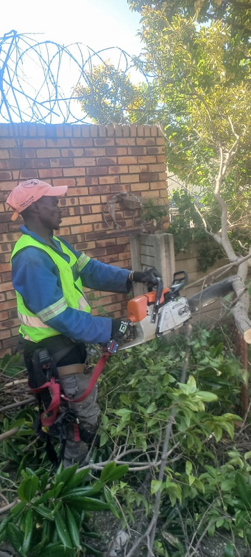 RODERICK TREE FELLING AND RUBBLE REMOVAL SERVICES