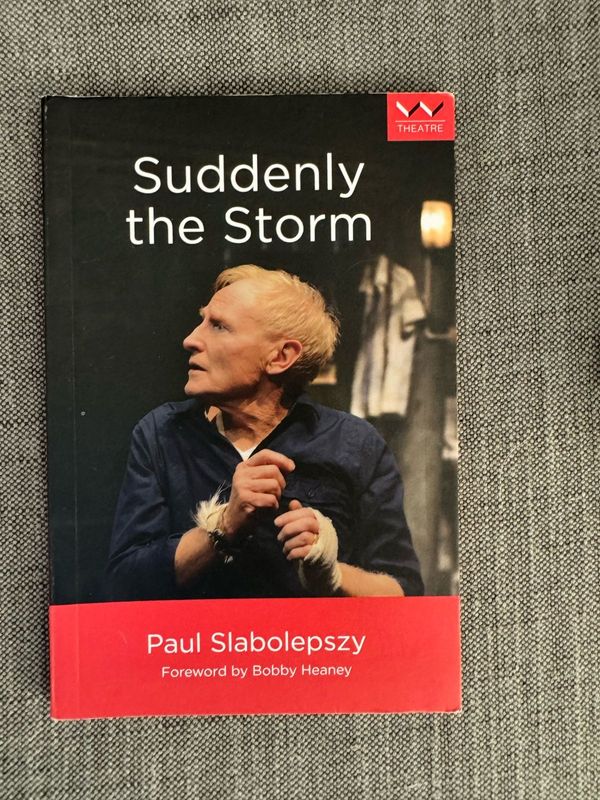 Suddenly the Storm by Paul Slabolepszy