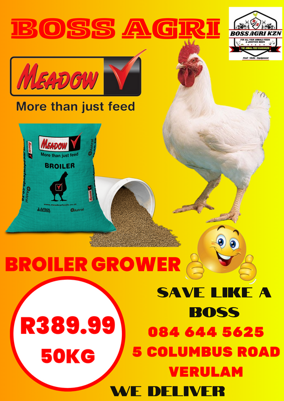 Meadow chicken feed