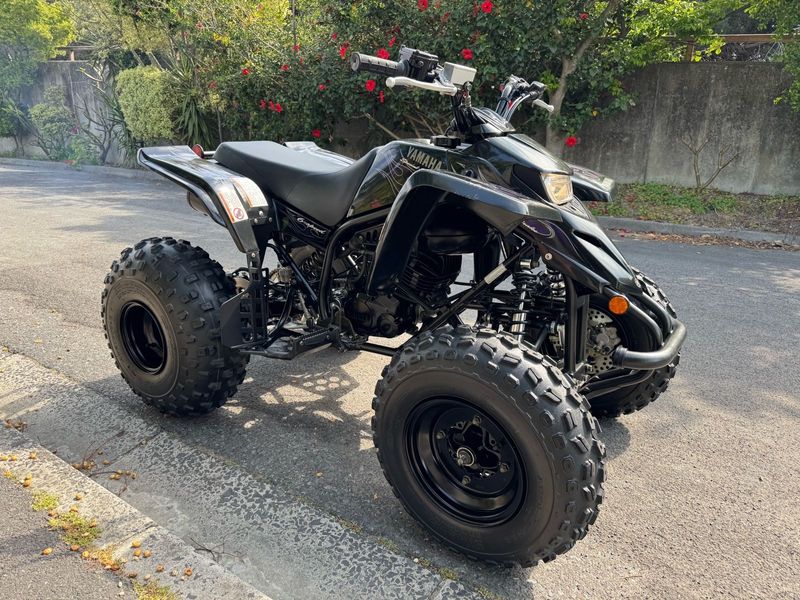 2006 Yamaha Blaster 200 SE