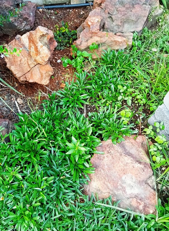 Landscaping rocks