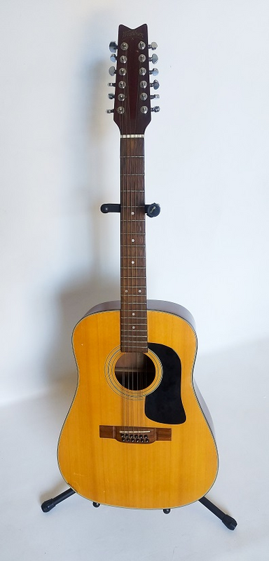 Guitar Player/ collector Bargain ! Quality Washburn D12-12N 12 string acoustic guitar !