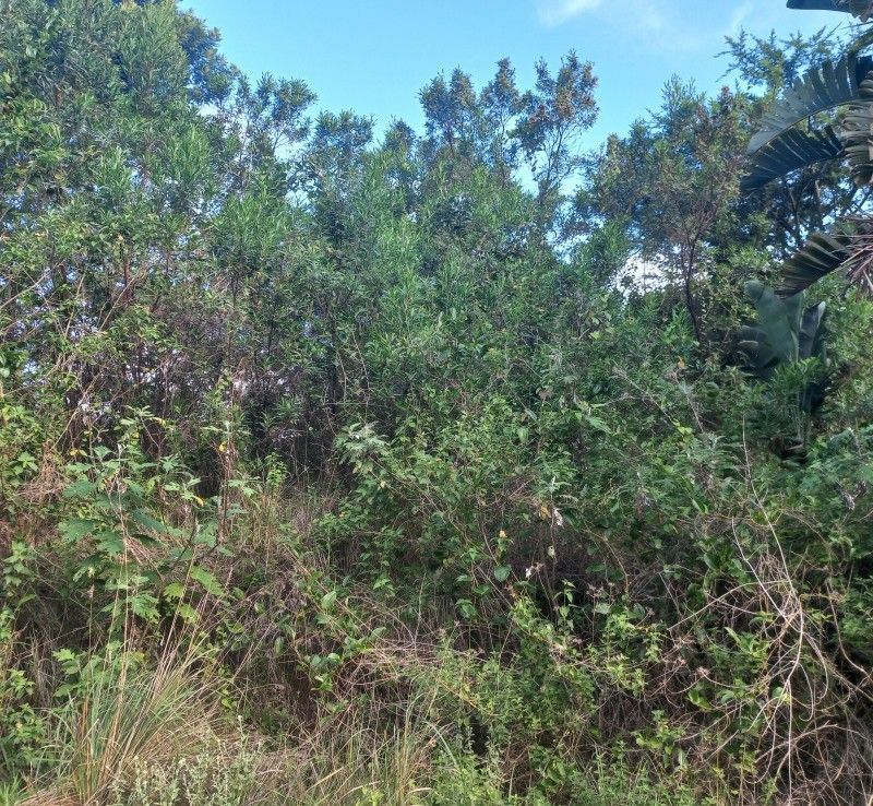 VACANT LAND IN RAMSGATE FOR SALE