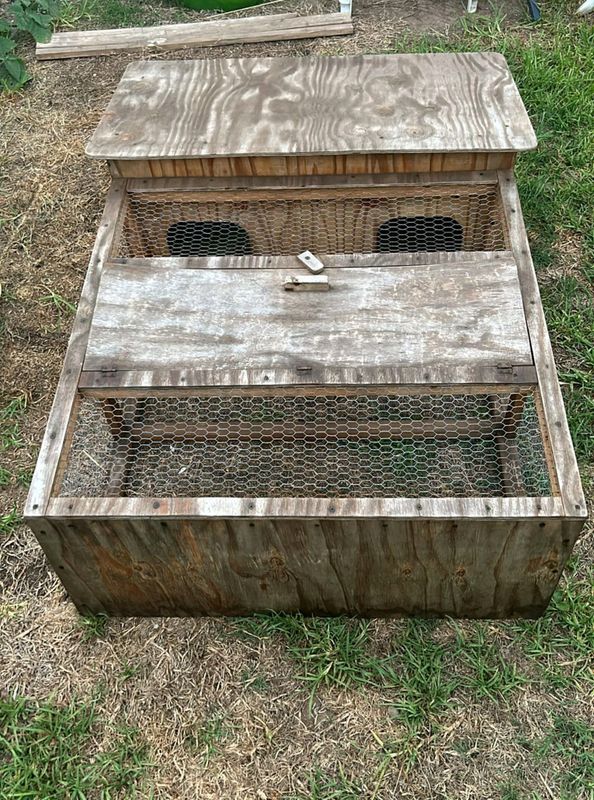 Outdoor hatch for Bunnies or guinea pigs