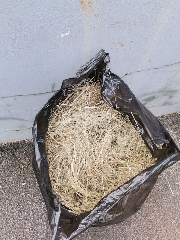 Two Large Fresh Hay bags for sale