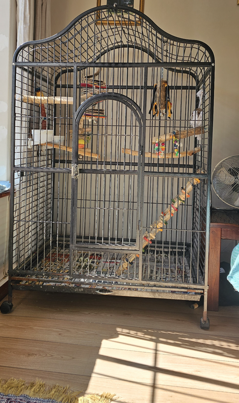 Big parrot cage for sale! Bargain!
