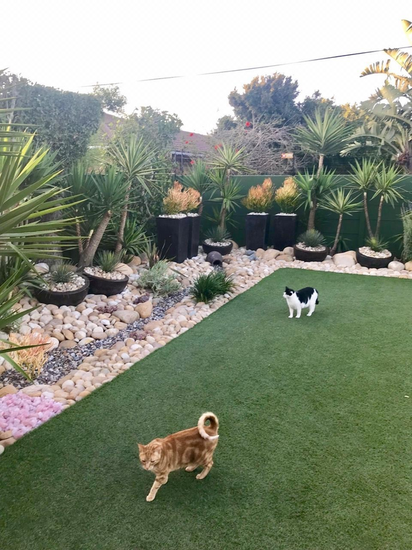 Pet friendly, low maintenance and very cost -effective Artificial Lawn available from Stone and Bark