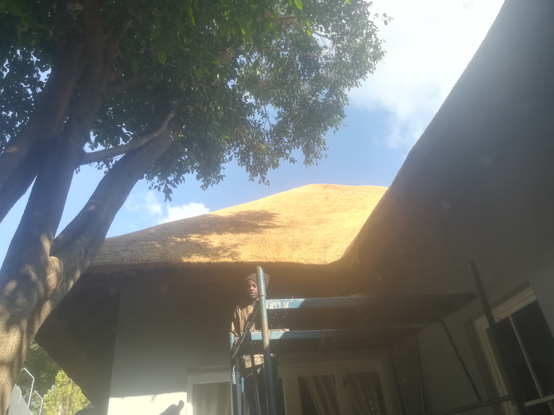 Thatch roofs repair