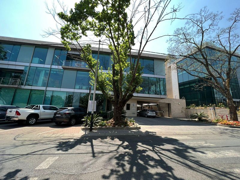 Full commercial office floor available for rental in Illovo