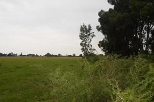 LARGE PIECE OF VACANT LAND ON THE M26 BACK ROAD OF ERASMIA!