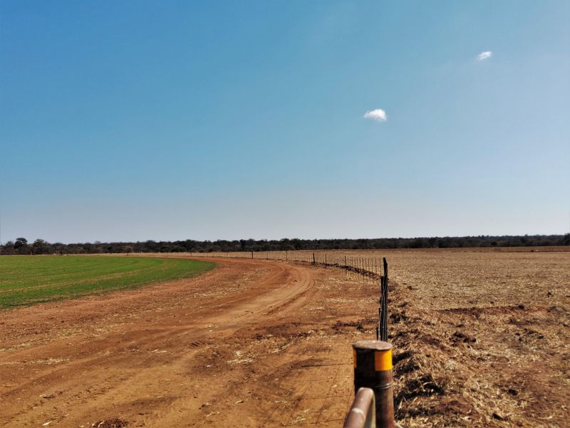 952 Hectare Cattle Farm in Limpopo, Maasstroom