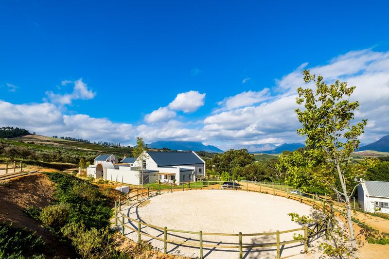 HORSE LOVER&#39;S PARADISE WITH SPECTACULAR VIEWS OF DEVON VALLEY